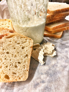 PG Wild Sourdough Starter